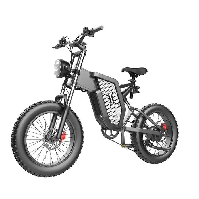 Vélo Électrique X20, Vitesse Maximale Kmh