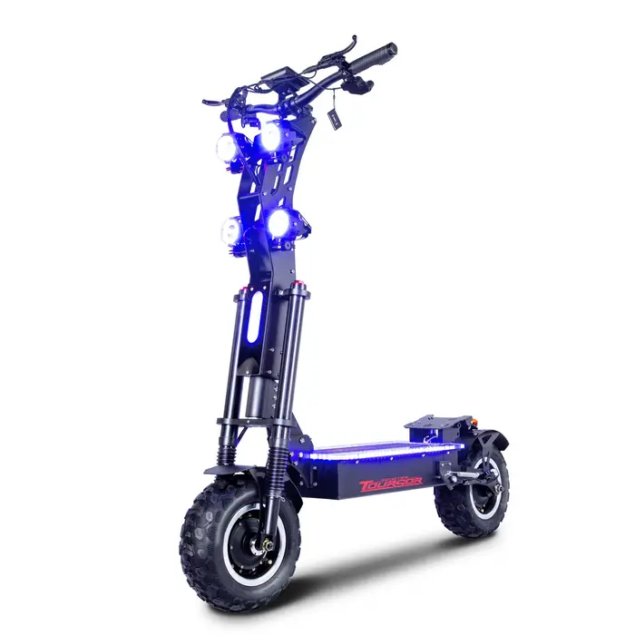 Livraison ponctuelle européenne scooter électrique tout-terrain de plage de 14 pouces avec mini