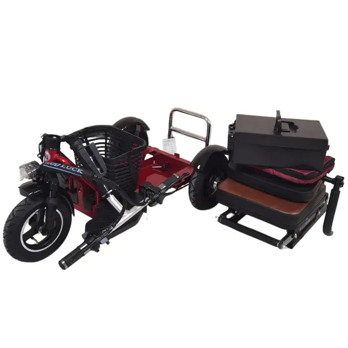 Famille Parents enfant Scooter électrique 2 sièges 3 roues personnes âgées 700W Anti rouleau nouveau Tricycle