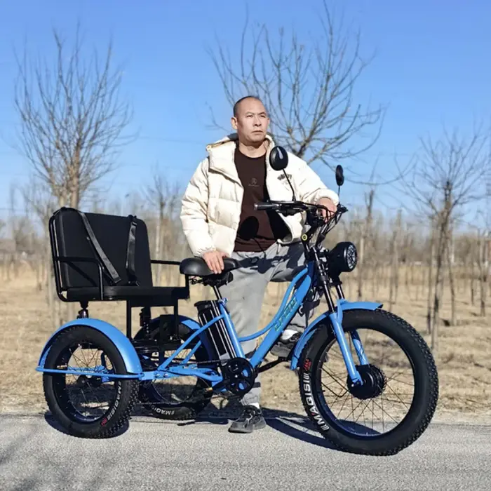 Vélo électrique de montagne à 3 roues 750w