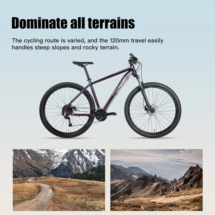 IREFOX vtt XC/Trai cadre 29er pour frein à disque 44x55mm Tube de tête conique vélo 10x135mm