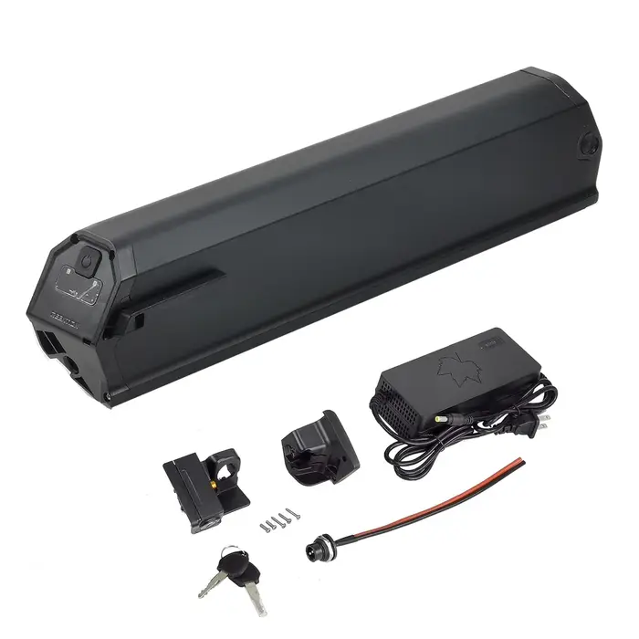 Batterie pour Magnum i6
