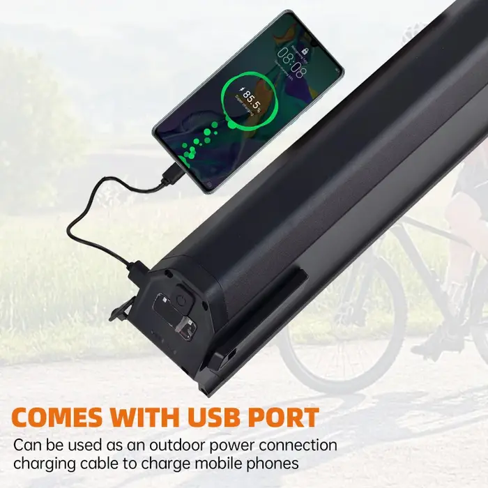 Dorado-Batterie pour vélo électrique