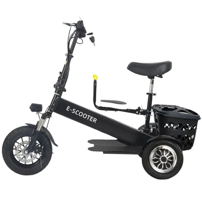 Mini Scooter électrique léger pour adultes