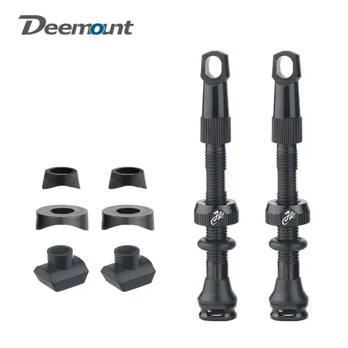 Valve de pneu Tubeless de vélo