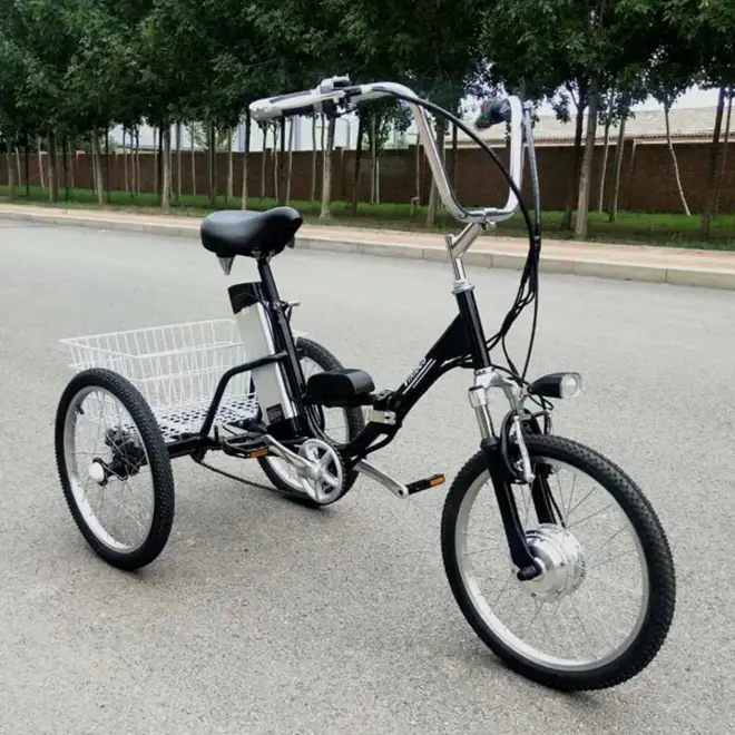 Vélo électrique pliable pour adultes de 20 pouces à 3 roues, moteur sans balais 36V250W, autonomie d