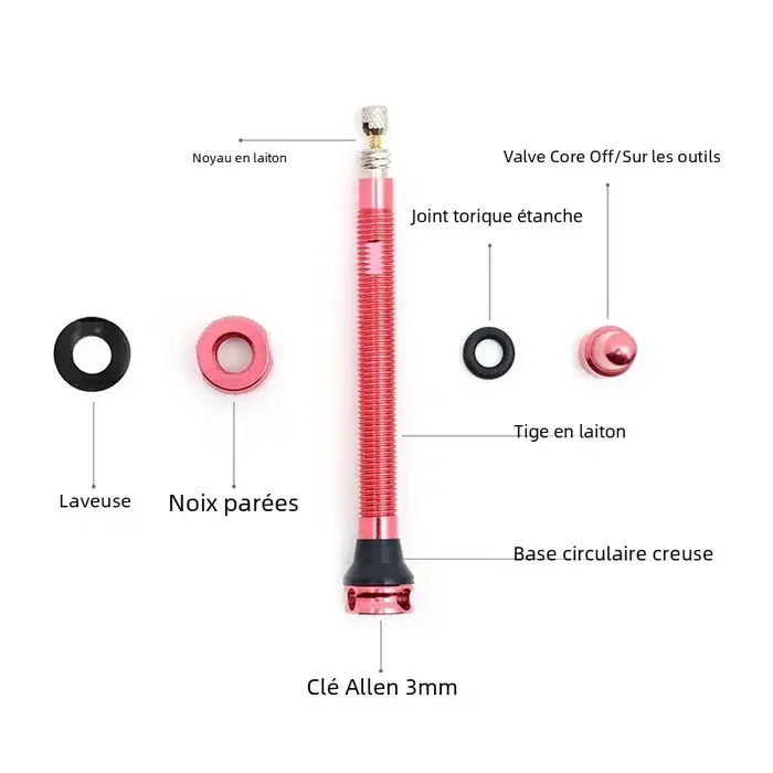 Valve Presta pour vélo sans chambre à air
