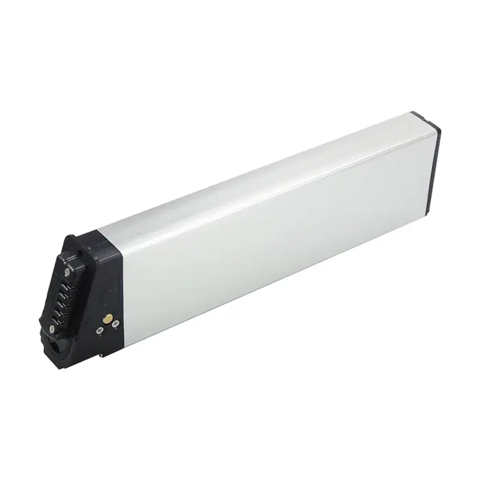 Lectric XP Lite 2.0 batterie Ebike 48V 14Ah 672Wh