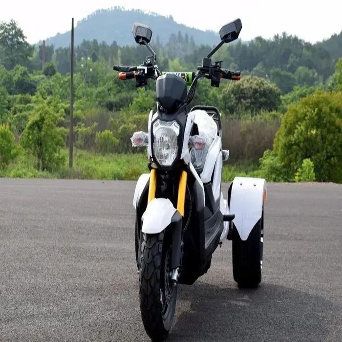 Tricycle électrique haute vitesse 70 km/h