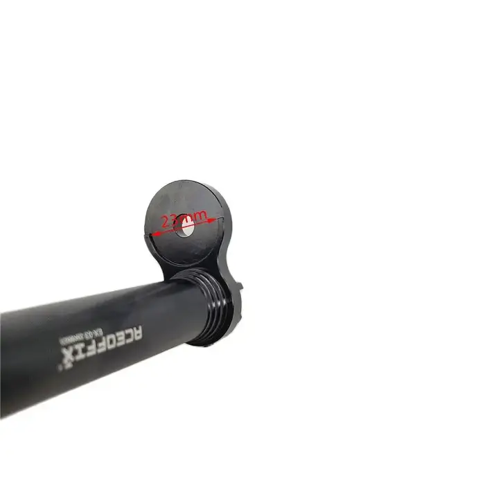 Aceoffix pour Brompton p line t