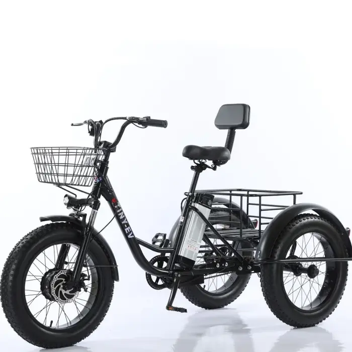 Tricycle électrique à 3 roues de vélo