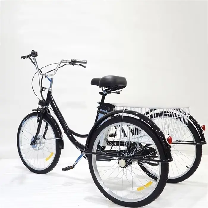 24 pouces 3 roues Tricycle électrique Cargo vélo adulte Senior avec panier arrière 350W famille vélo