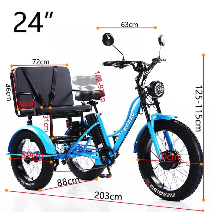 Vélo électrique de montagne à 3 roues 750w