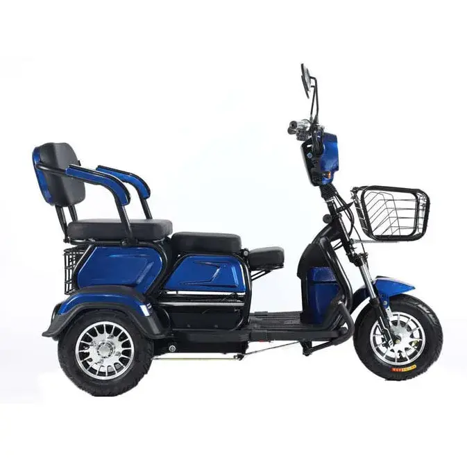 Vélo électrique à 3 roues TTY Factory 600W 48V