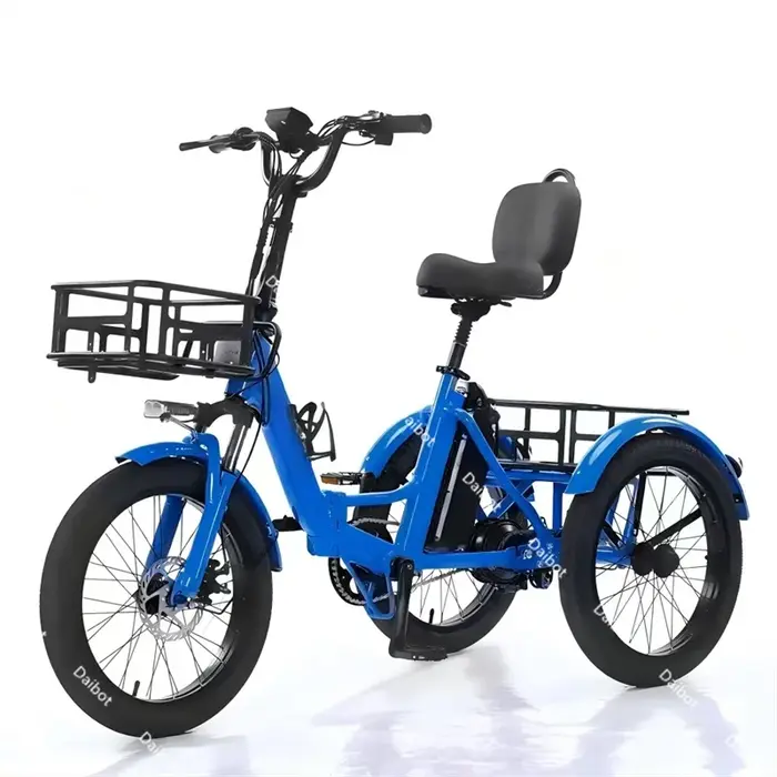 Vélo électrique adulte 3 roues batterie amovible pliante 350W véhicule Tricycle