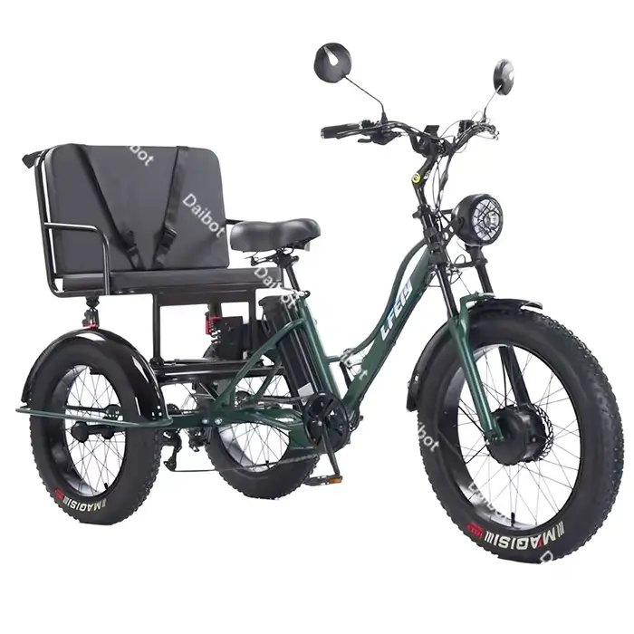 Vélo électrique Cargo à 3 roues 750w avec siège passager pour personnes âgées nouveau