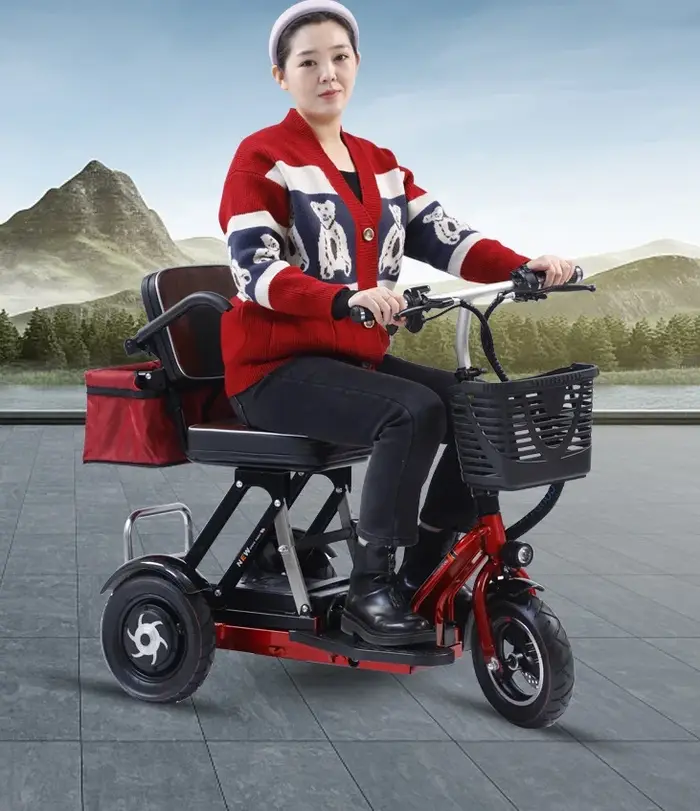 Vélo électrique à double moteur en titane pour mobilité réduite