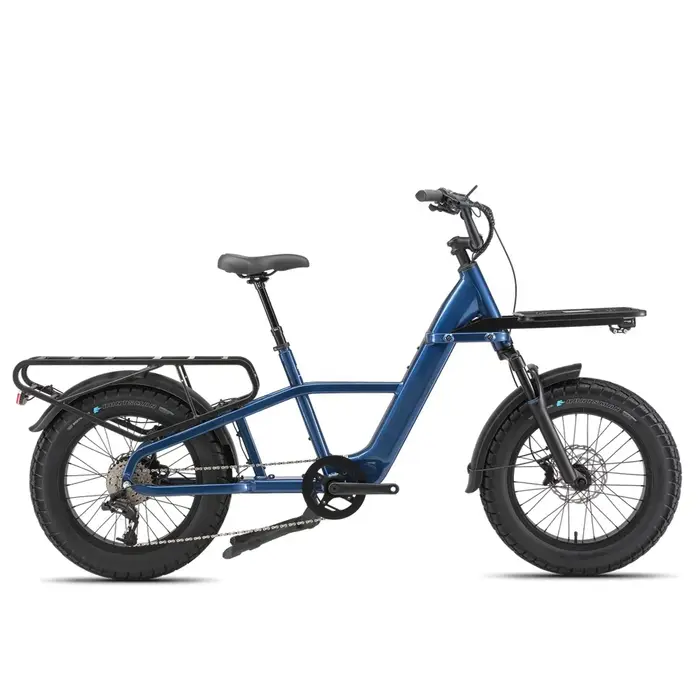 Vélo cargo tout-terrain électrique 48V 15Ah 750W avec moteur arrière, batterie lithium, moteur sans 