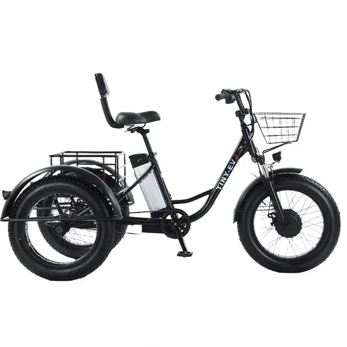 Tricycle électrique assisté au pied de 20 pouces, 48V, 500W, pneus larges, 3 roues, vélo Cargo élect