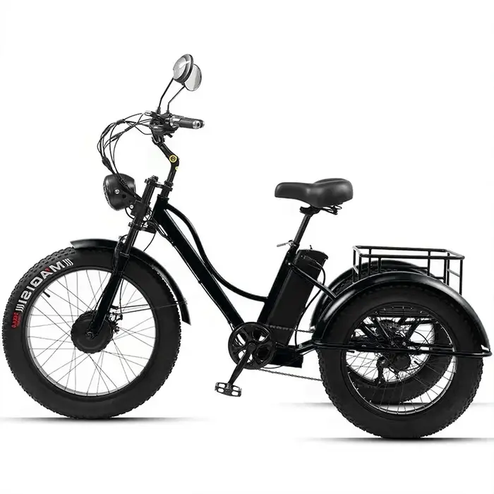 24 pouces gros pneu puissant vélo électrique pour hommes 750w Cargo Tricycle