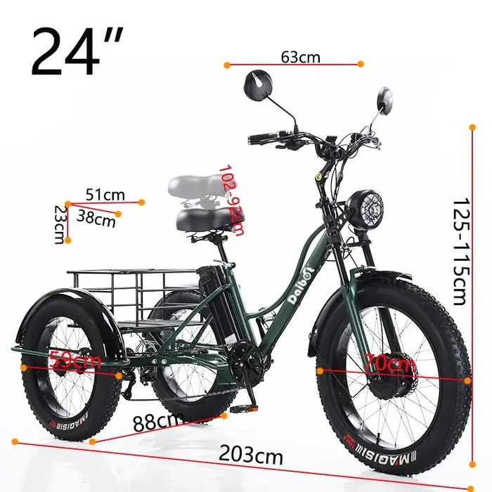 24 pouces gros pneu puissant vélo électrique pour hommes 750w Cargo Tricycle