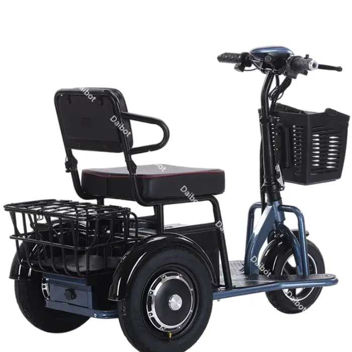Tricycle électrique à double moteur