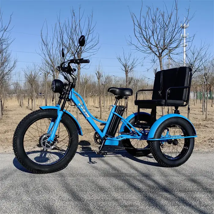 Vélo électrique de montagne à 3 roues 750w