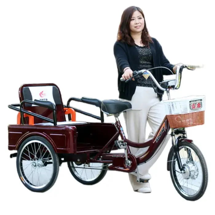 Tricycle Électrique avec Siège Passager pour Adulte