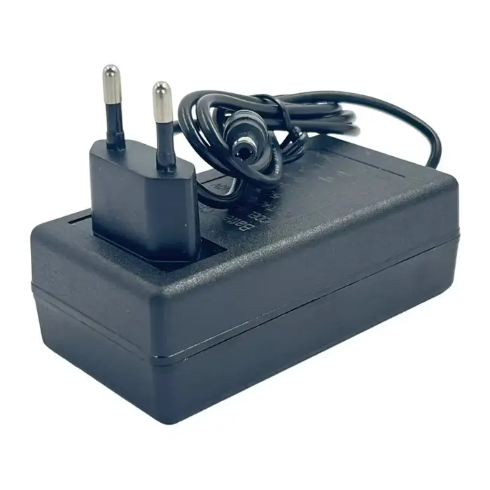 Chargeur de Scooter électrique 24.2V 1