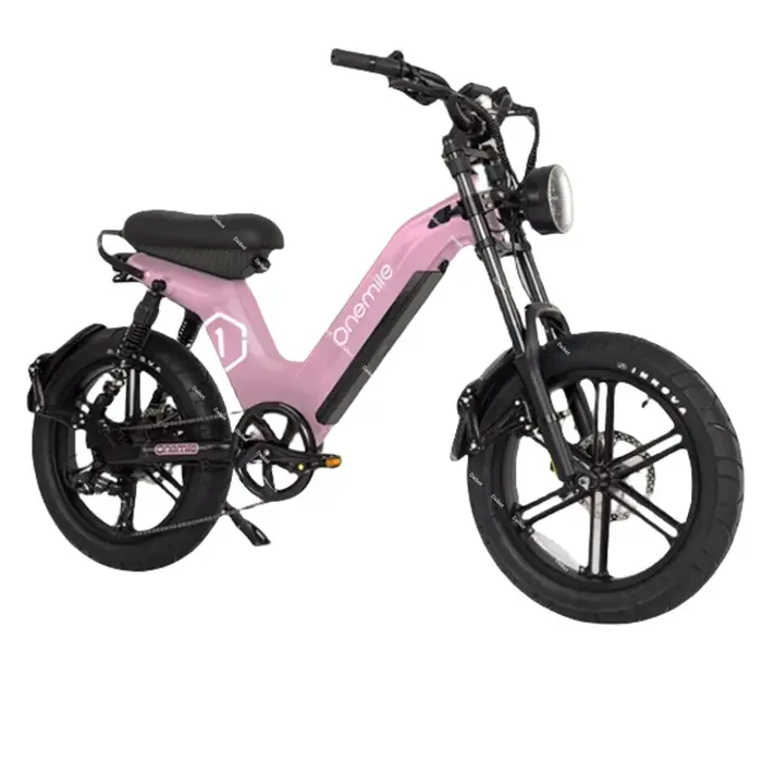 Fatbike – vélo électrique 2024