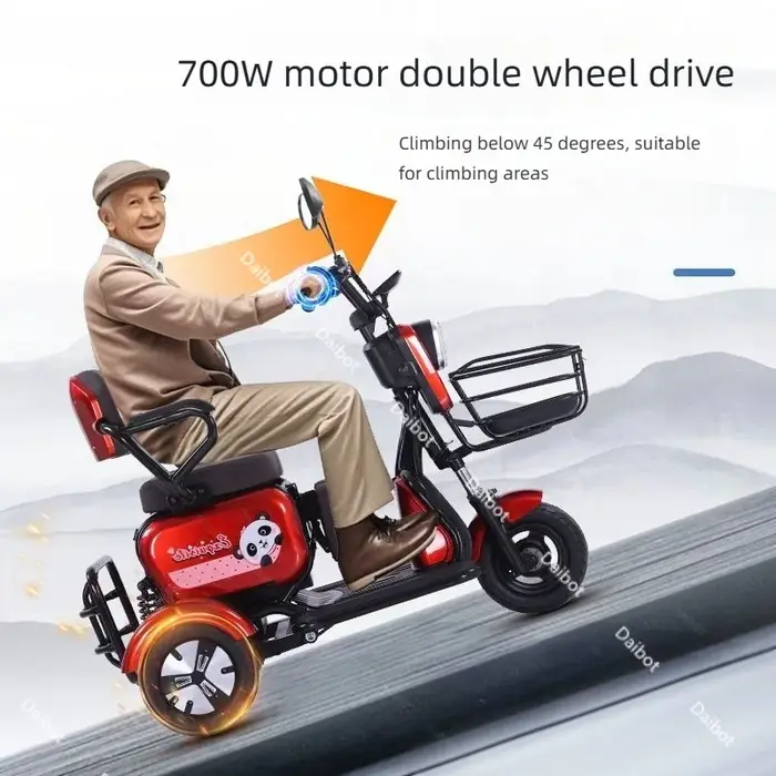 Tricycle électrique pliable pour femmes