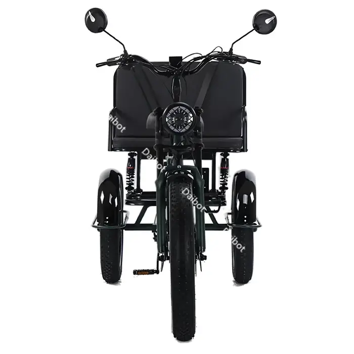 Tricycle électrique gros pneu pour adultes avec siège arrière/ceinture de sécurité 750W puissant vélo