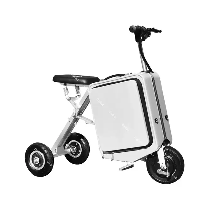 Mini Tricycle Électrique Pliable pour Adulte, 2 Places, 300W, 36V, Bagage Tout Terrain, Scooter de M