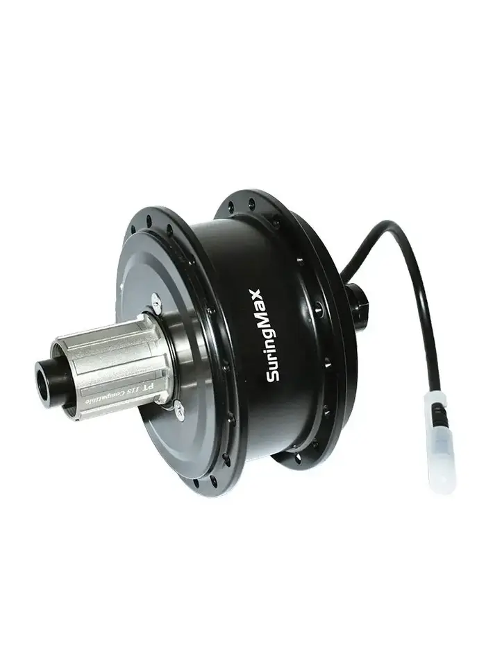 Moteur de vélo électrique 250W, moteur de moyeu de vélo électrique à rotor interne AKM, engrenage ar