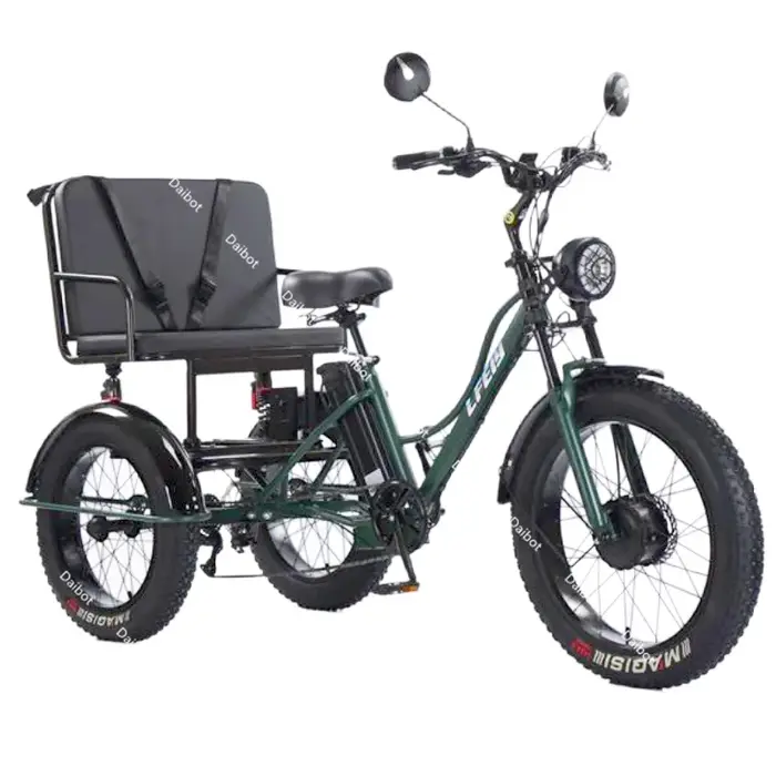 Vélo électrique de montagne à 3 roues 750w