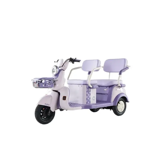Tricycle électrique 60V