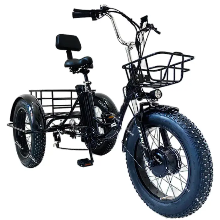 Tricycle électrique pliant de 20 pouces pour adultes