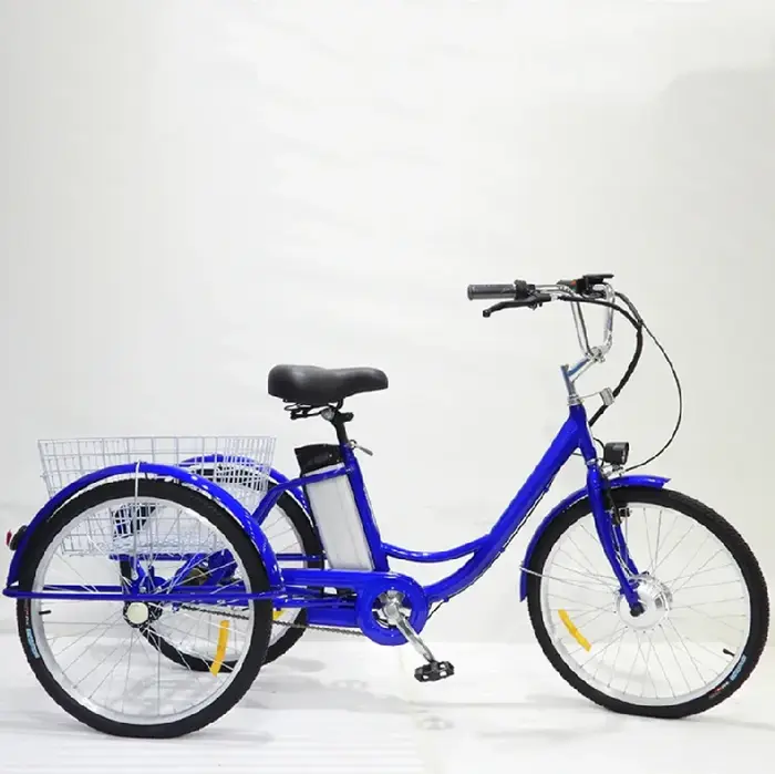 Vélo électrique à trois roues 36V 24 pouces