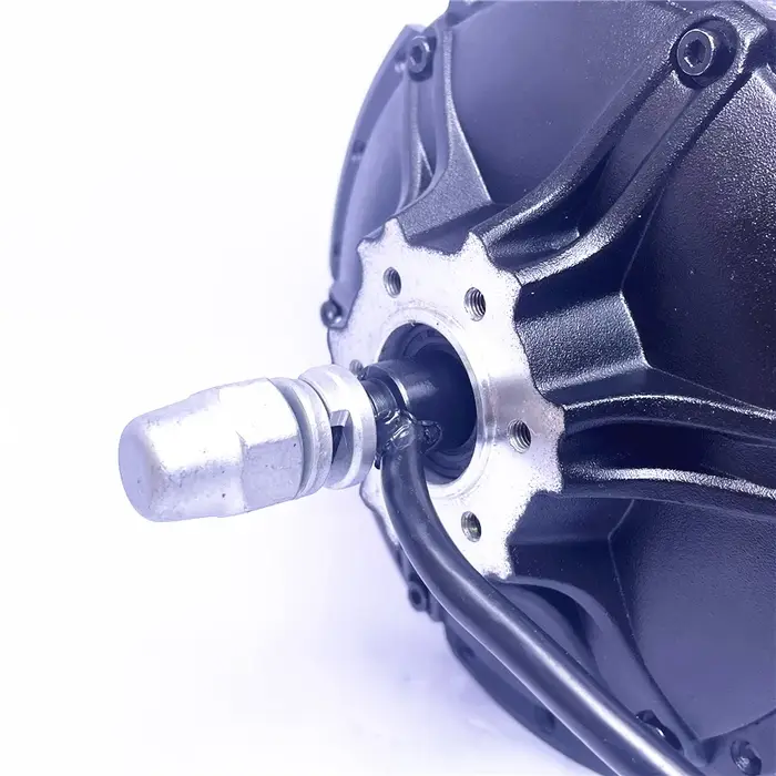 2025 bafang G061/G062 48V750W moteur de moyeu avec frein à disque pour gros vélo
