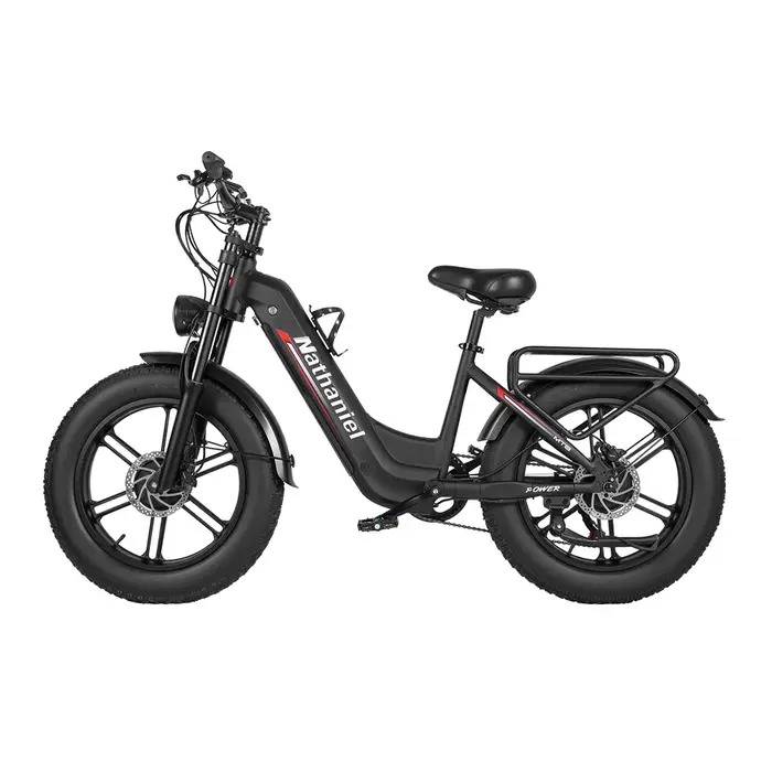 Roue intégrée à double entraînement pour vélo électrique 2000W 20x4.0