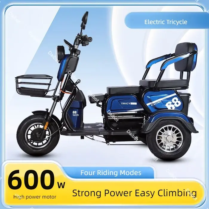 Tricycle électrique adulte 48V 600W