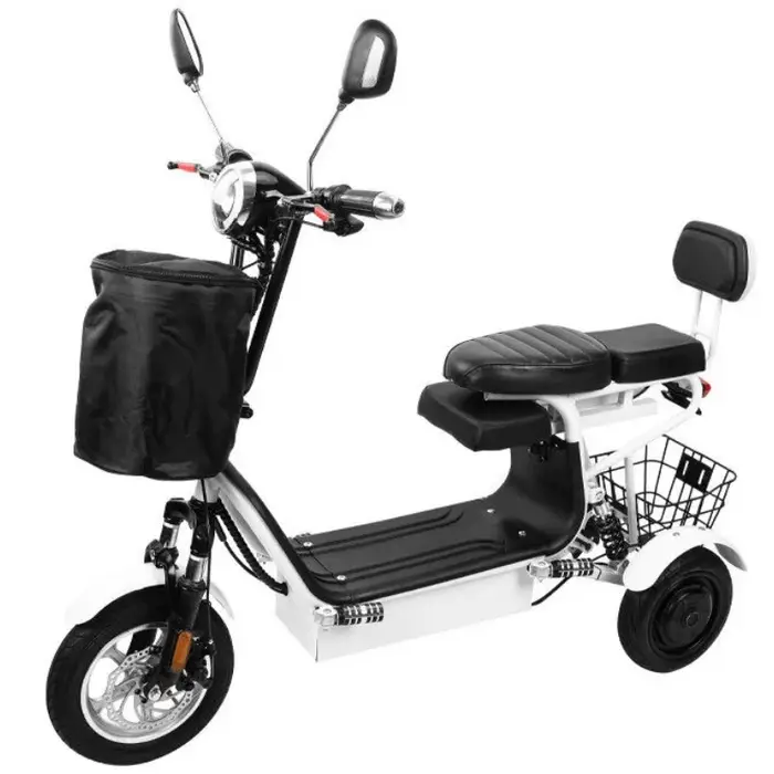 Tricycle électrique à double moteur 500W à 3 roues