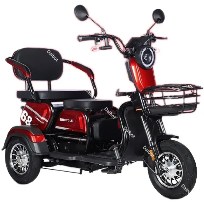Tricycle électrique adulte Senior avec siège passager 600W 48V 20AH famille tout Terrain Scooter