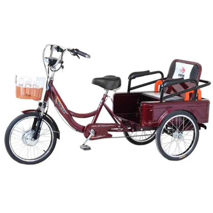 Tricycle Électrique avec Siège Passager pour Adulte, Vélo de Ville Familial avec mir, Batterie Parfa