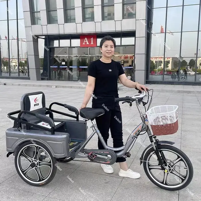 350W 48V nouveau Tricycle électrique à 3 roues vélo Cargo avec passagers pour personnes âgées famille Booster