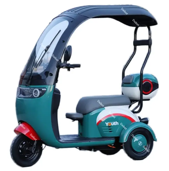 Tricycle électrique injuste pour adultes avec siège arrière