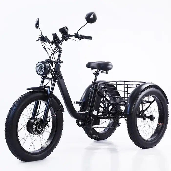 Tricycle électrique à 3 roues pour hommes adultes, vélo cargo électrique de montagne de neige, 24 po