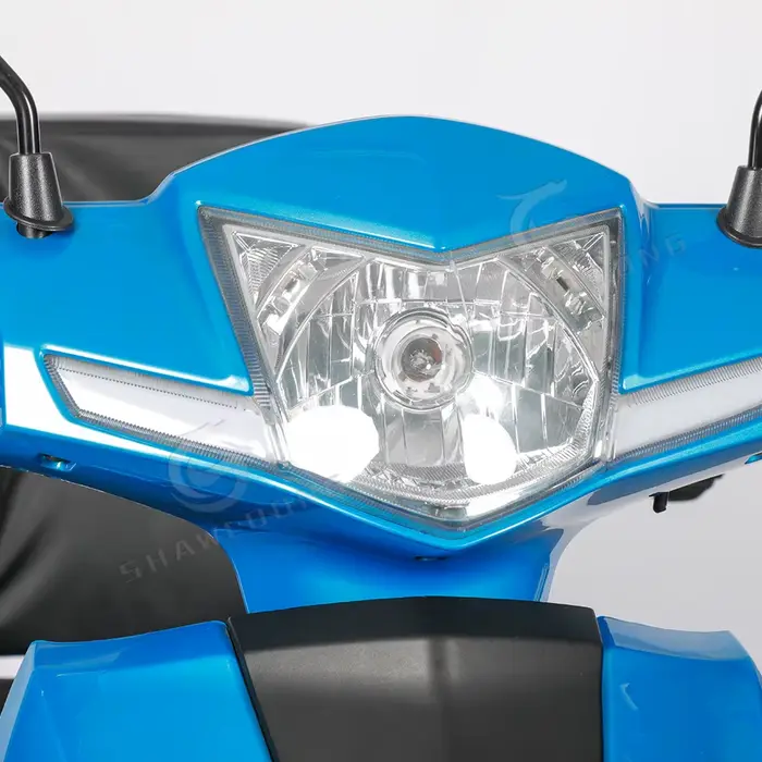 Nouveau Tricycle de Scooter électrique LED 48V 500W