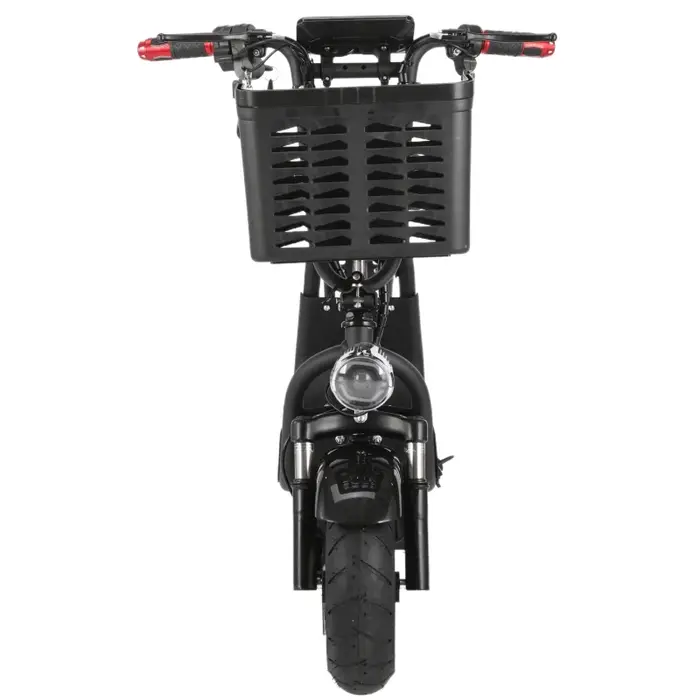 1000W Scooter de mobilité pliant 2 roues petit pour les personnes âgées voyage Double Absorption des chocs 2 places
