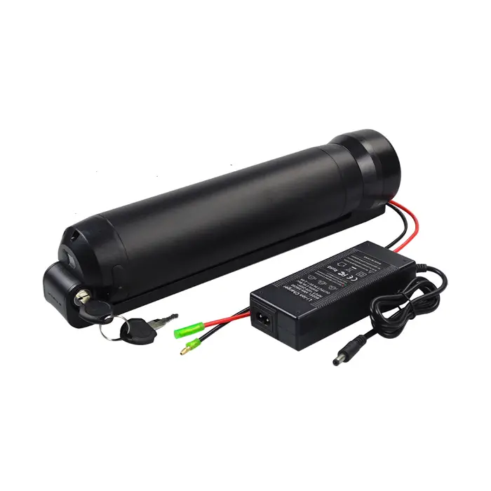 Mini bouteille de batterie de vélo électrique avec chargeur, remplacement de batterie Rideup1, 24V, 
